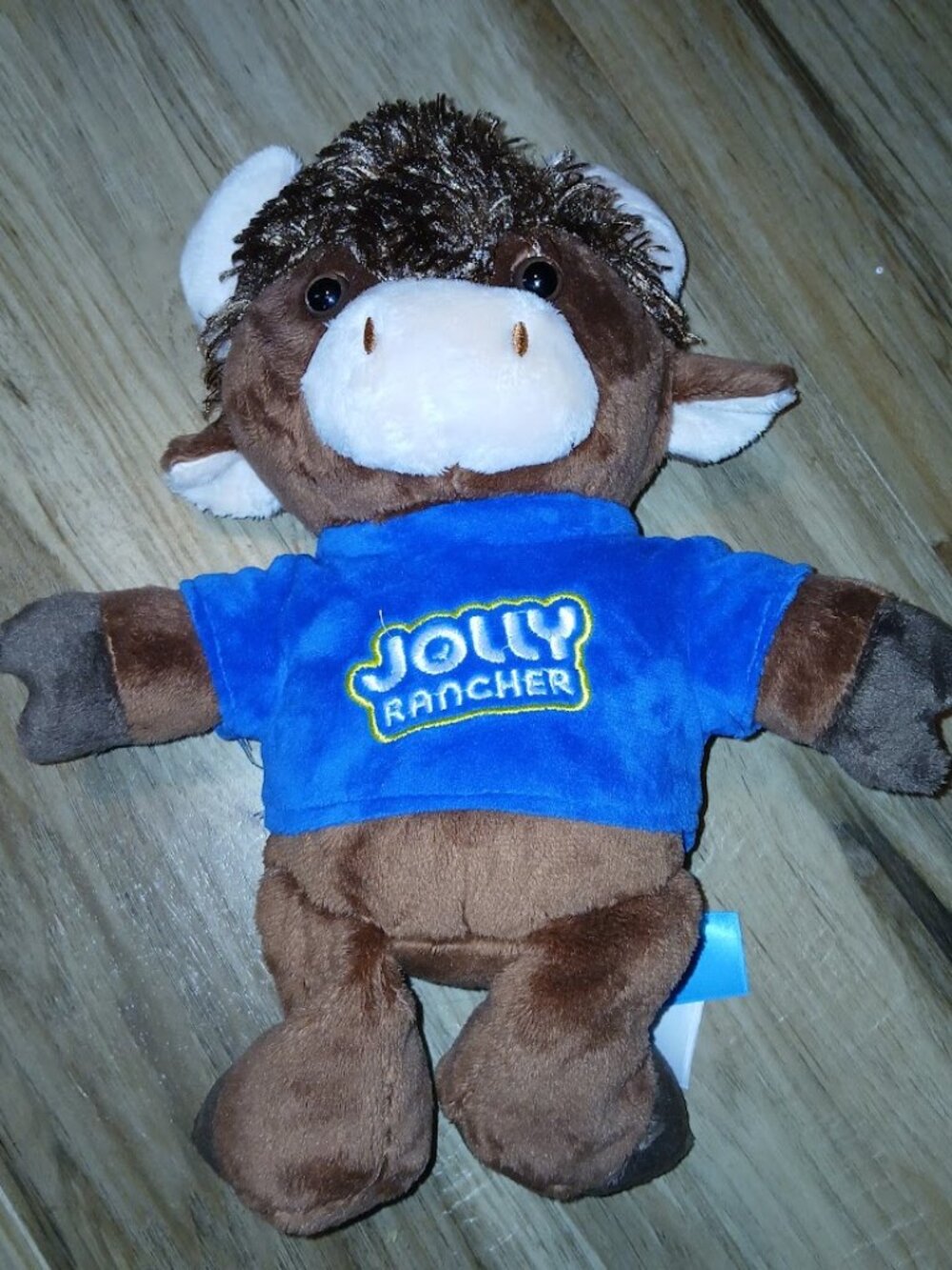 Jolly Rancher Cow